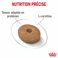 ROYAL CANIN Croquette pour chien adulte de petite taille light weight care - 3 kg