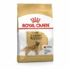 ROYAL CANIN Croquette pour chien adulte Golden Retriever - 12 kg