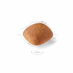 ROYAL CANIN Croquette pour chien adulte Golden Retriever - 12 kg