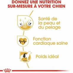 ROYAL CANIN Croquette pour chien adulte Golden Retriever - 12 kg