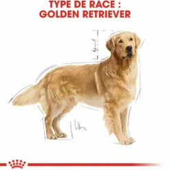 ROYAL CANIN Croquette pour chien adulte Golden Retriever - 12 kg