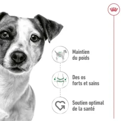 ROYAL CANIN Croquette pour chien adulte de petite taille - 8 kg