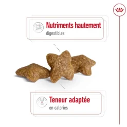 ROYAL CANIN Croquette pour chien adulte de petite taille - 8 kg