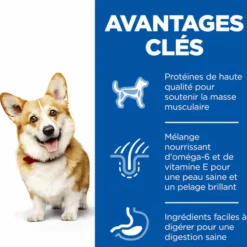 HILL'S Croquette pour chien adulte de petite taille au poulet - 6 kg