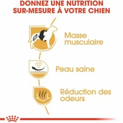 ROYAL CANIN Croquette pour chien Bulldog français - 9 kg
