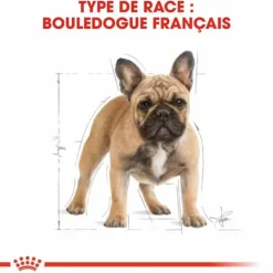 ROYAL CANIN Croquette pour chien Bulldog français - 9 kg