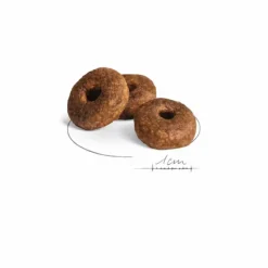 ROYAL CANIN Croquette pour chien mature de taille moyenne - 15 kg