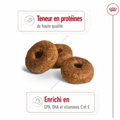 ROYAL CANIN Croquette pour chien mature de taille moyenne - 15 kg