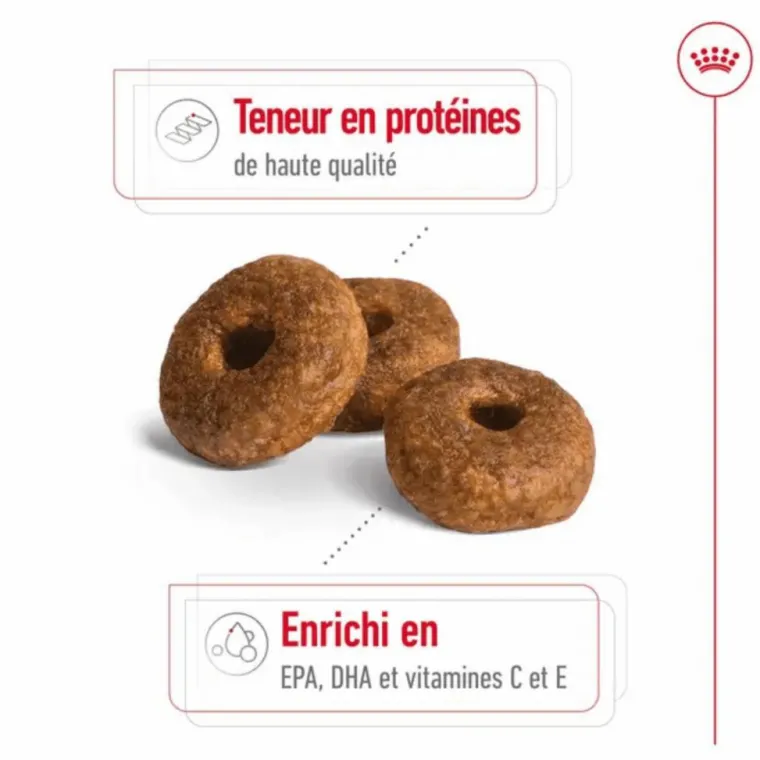 ROYAL CANIN Croquette pour chien mature de taille moyenne - 15 kg