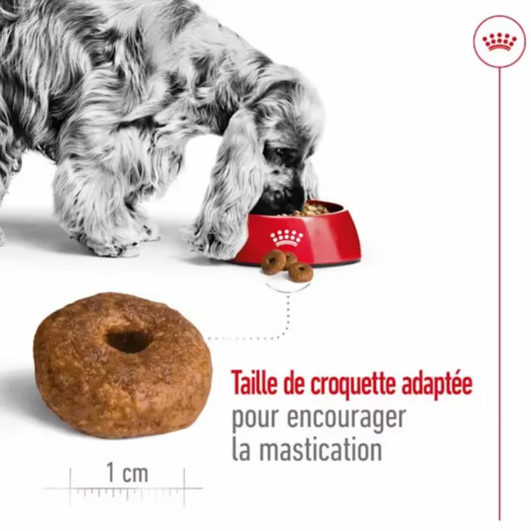 ROYAL CANIN Croquette pour chien mature de taille moyenne - 15 kg