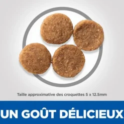 HILL'S Croquette pour chien mature de taille moyenne au poulet - 12 kg