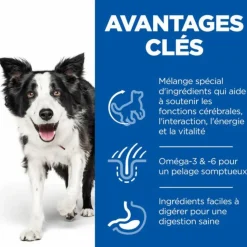 HILL'S Croquette pour chien mature de taille moyenne au poulet - 12 kg