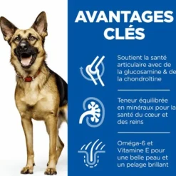 HILL'S Croquette pour chien mature de grande race au poulet - 18 kg