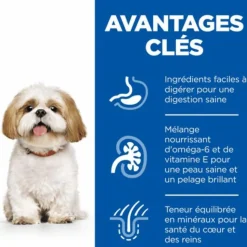 HILL'S Croquette pour chien mature de petite taille au poulet - 6 kg