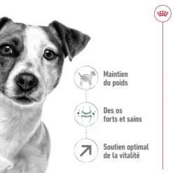 ROYAL CANIN Croquette pour chien mature de petite taille - 2 kg