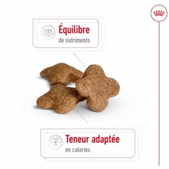 ROYAL CANIN Croquette pour chien mature de petite taille - 2 kg