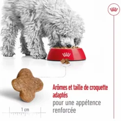 ROYAL CANIN Croquette pour chien mature de petite taille - 2 kg