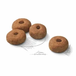 ROYAL CANIN Croquette pour chien stérilisé de grande taille - 12 kg