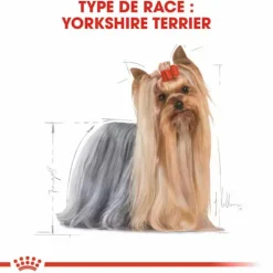 ROYAL CANIN Croquette pour chien Yorkshire - 3 kg