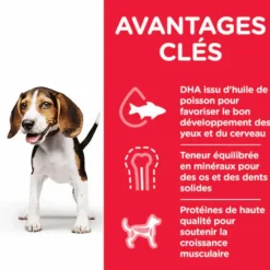 HILL'S Croquette pour chiot au poulet - 12 kg
