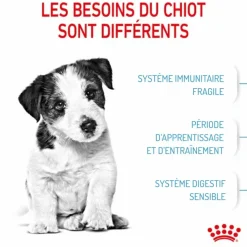ROYAL CANIN Croquette pour chiot - 2 kg