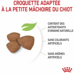 ROYAL CANIN Croquette pour chiot - 2 kg