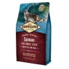 CARNILOVE Croquettes pour chat salmon for adult cats - 2 kg