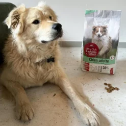 VIVACROC Croquettes pour chien medium adulte au poulet – 12 kg