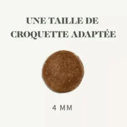 BAB'IN Croquettes pour chien medium adulte au poulet sans céréales Signature - 12 kg