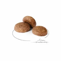 ROYAL CANIN Croquettes pour chien Medium adulte de + 7 ans - Le sac de 15 kg