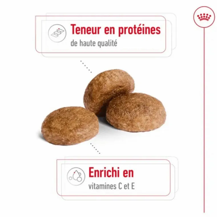 ROYAL CANIN Croquettes pour chien Medium adulte de + 7 ans - Le sac de 15 kg