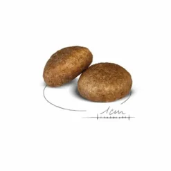 ROYAL CANIN Croquettes pour chien Maxi adulte de + de 15 mois - Le sac de 15 kg