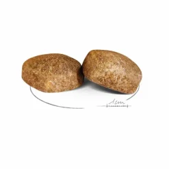 ROYAL CANIN Croquettes pour chien Giant adulte de + de 45 kg - Le sac de 15 kg