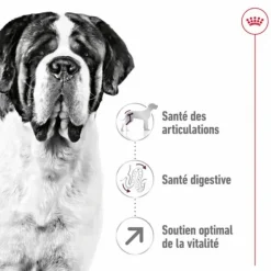 ROYAL CANIN Croquettes pour chien Giant adulte de + de 45 kg - Le sac de 15 kg