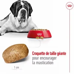 ROYAL CANIN Croquettes pour chien Giant adulte de + de 45 kg - Le sac de 15 kg