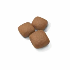 ROYAL CANIN Croquettes pour chiot Junior active Giant - 15 kg