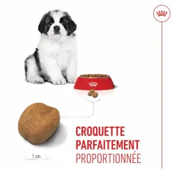 ROYAL CANIN Croquettes pour chiot Giant - 15 kg