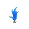 LABEO Cycared bleu en plastique 28 cm