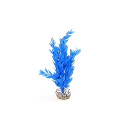 LABEO Cycared bleu en plastique 28 cm