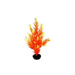 LABEO Cycared orange en plastique 28 cm