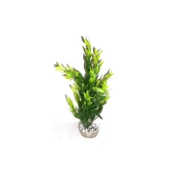 LABEO Cycared vert en plastique 28 cm