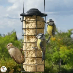 NATURES MARKET Cylindre de graisse pour oiseaux aux insectes