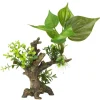 EUROPET Décor d'aquarium plantes flora scape 6 coloris vert en résine de polyester - 14,5 x 9 x 16,5 cm