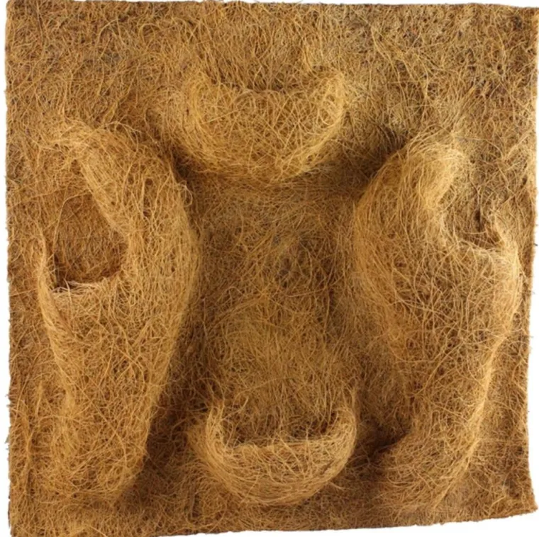REPTILE PLANET Décor de fond pour terrarium fibre de coco coloris marron Planting Background - 50 x 50 x 10 cm