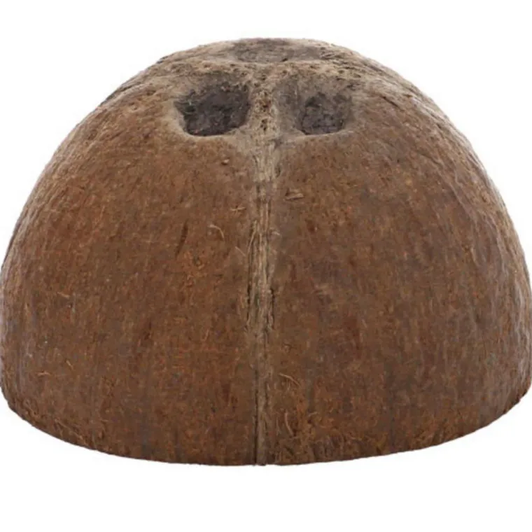 HOBBY Décor pour aquarium coloris marron Grotte coco Aqua Cave - Taille S