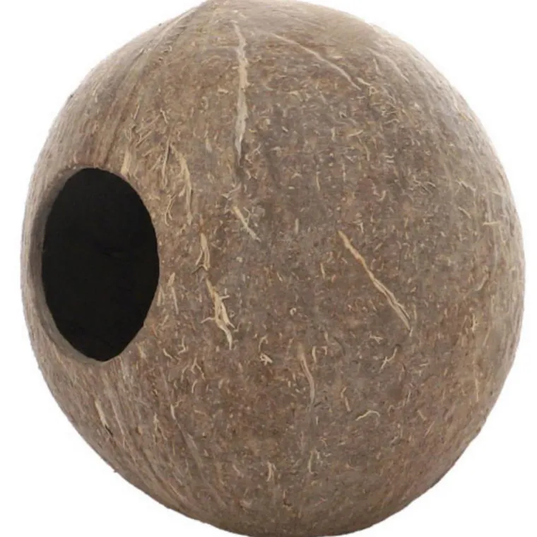 HOBBY Décor pour aquarium coloris marron Grotte coco Aqua Cave - Taille L