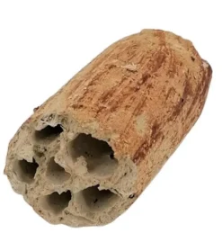 TYROL Décor pour aquarium céramique naturelle coloris beige tunnel - 6 à 8 cm