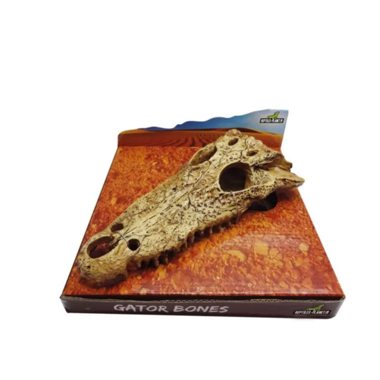 REPTILE PLANET Décor pour terrarium en résine coloris beige tête d'alligator Gator Bones