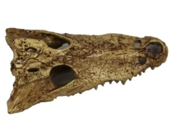 REPTILE PLANET Décor pour terrarium en résine coloris beige tête d'alligator Gator Bones