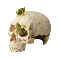 AQUAVIE Décor pour terrarium en synthétique coloris blanc crâne et grenouilles - 16,5 x 12 x 13 cm